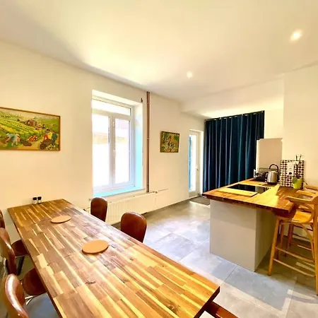 公寓 Maison Spacieuse Rdc 里尔